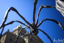 Maman de Louise Bourgeois-Bern-25.5 2011