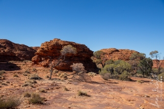 Kings Canyon-2