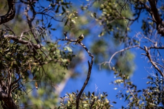 Northterritorie, Aurora, Australie_ juin 2019