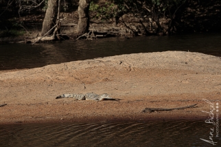 MaryRiver-12