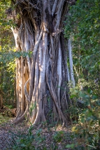 Northterritorie, Mary River, Australie_ juin 2019