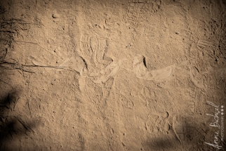 Northterritorie, Mary River, Australie_ juin 2019