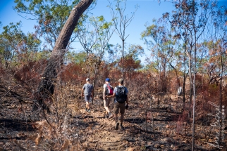 Nitmiluk national park Edith Falls Walk