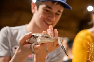 Reptile center Alice Springs-4