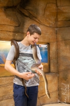 Reptile center Alice Springs-5