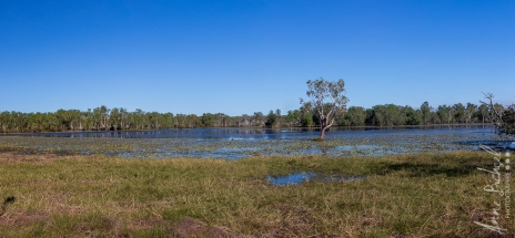 Northterritorie, Sandy billabong, Australie_ juin 2019