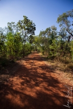 Northterritorie, Ubirr, Art Rock, Australie_ juin 2019