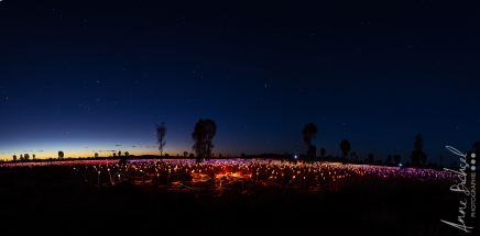 Uluru-14