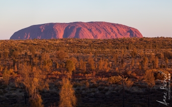 Uluru