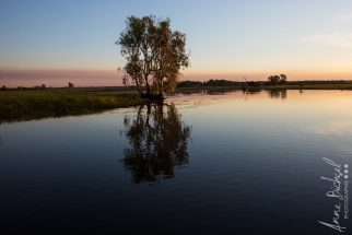 Yellow river-9