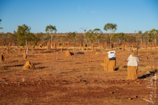 en route pour Tennant Creek