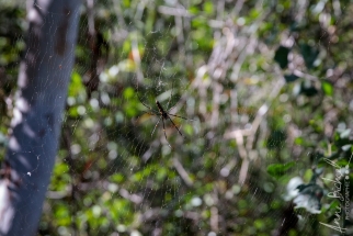 Northterritorie, Burrungkuy Nourlanger), Australie_ juin 2019