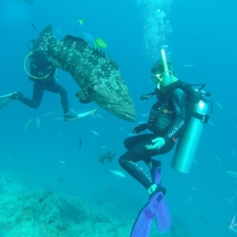 DCIM100GOPRO