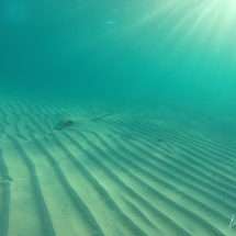 DCIM100GOPRO