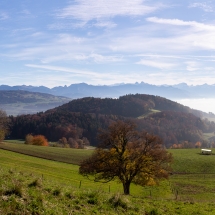 Lavaux, ocotbre2020